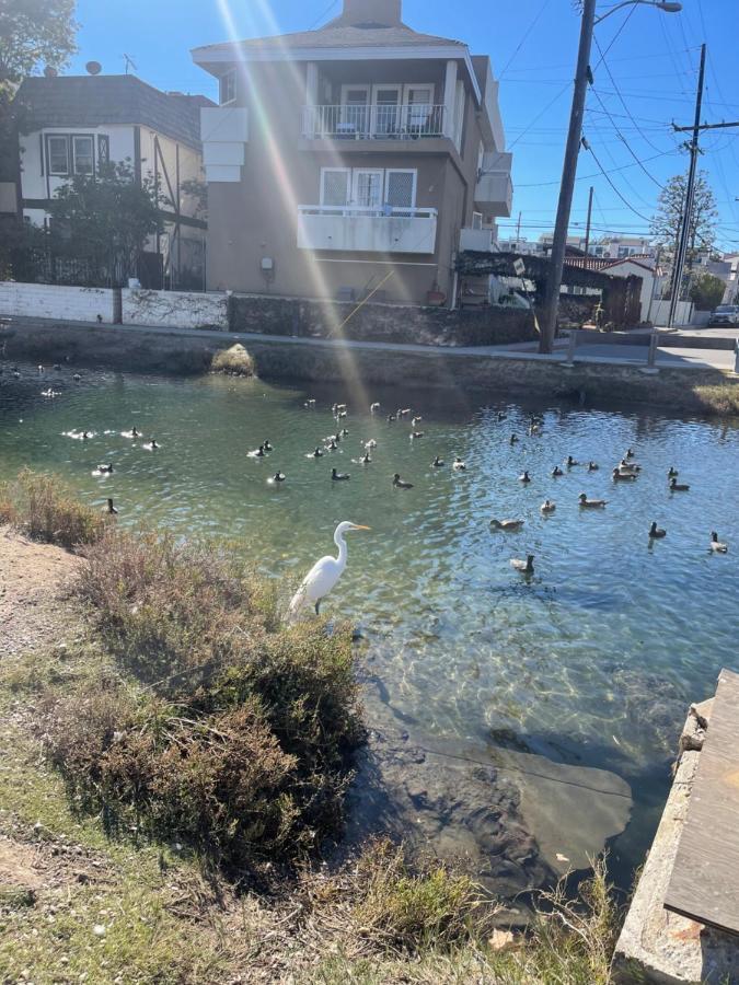 Privatunterkunft Private & Bathroom In Shared Oceanfront Home, Marina Del Rey *